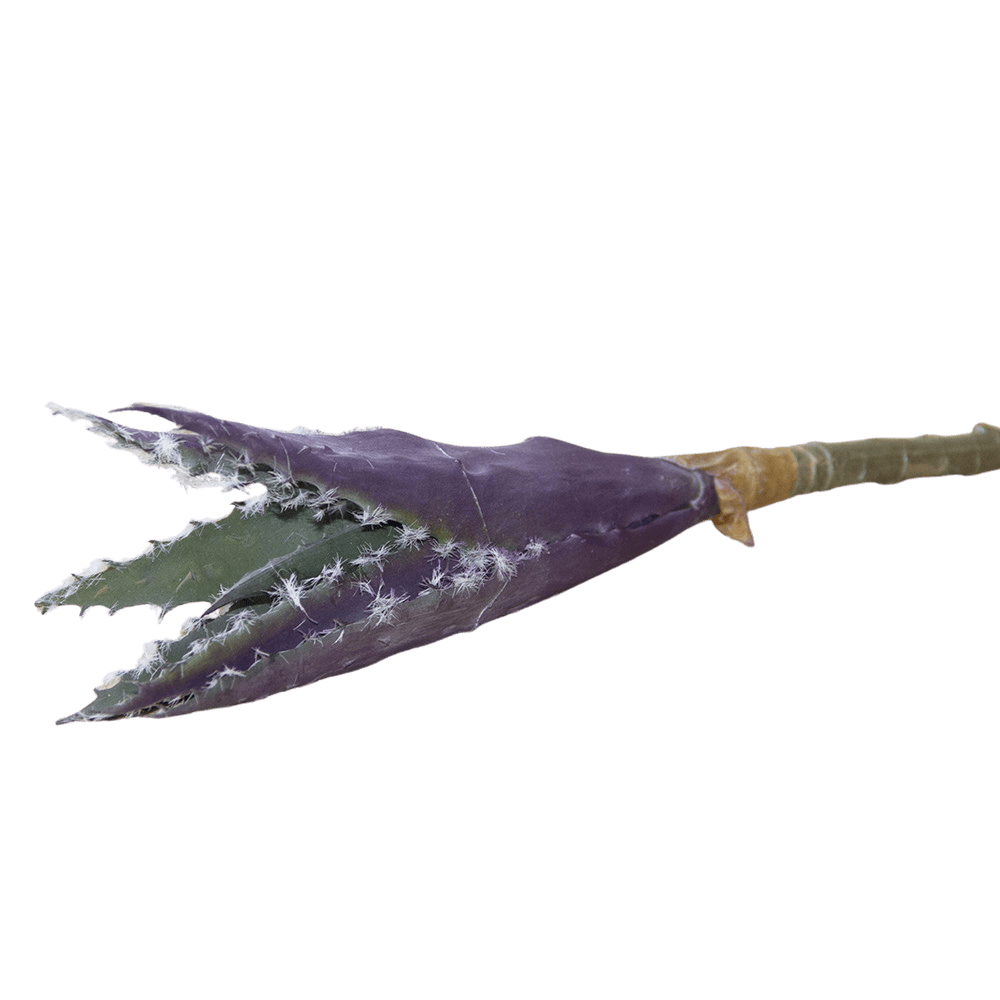 Succulents Fake Faux Lifelike Decorative Things - Chive Ceramics Studio - Tools & Accessories - Chive US