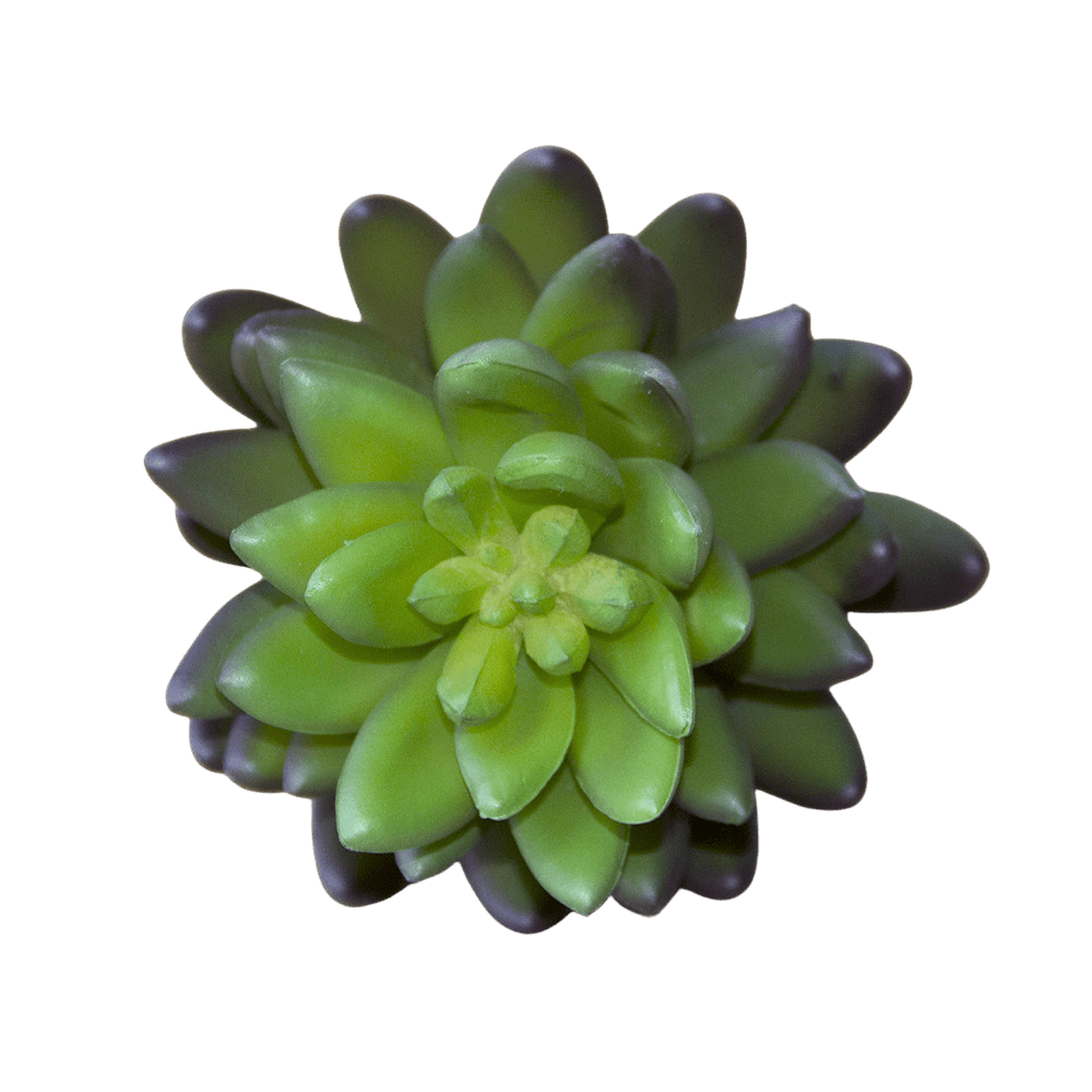 Succulents Fake Faux Lifelike Decorative Things - Chive Ceramics Studio - Tools & Accessories - Chive US