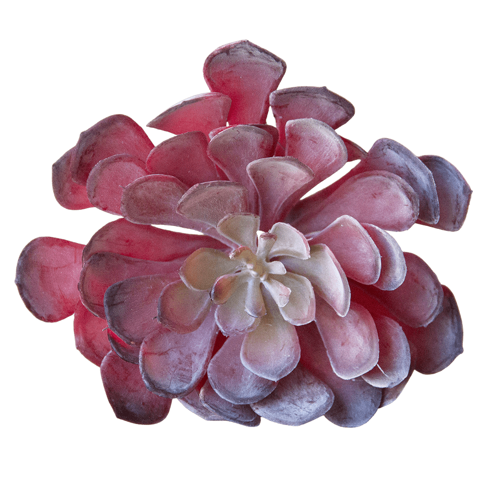 Succulents Fake Faux Lifelike Decorative Things - Chive Ceramics Studio - Tools & Accessories - Chive US