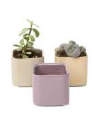 Svek Ceramic Indoor Succulent Pot - Chive Ceramics Studio - Pots - Chive Ceramics Studio