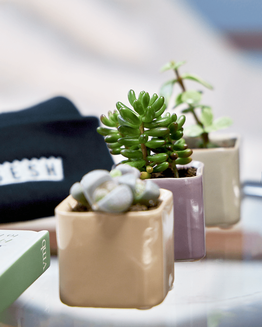 square ceramic indoor plant pots Svek Ceramic Indoor Succulent Pot