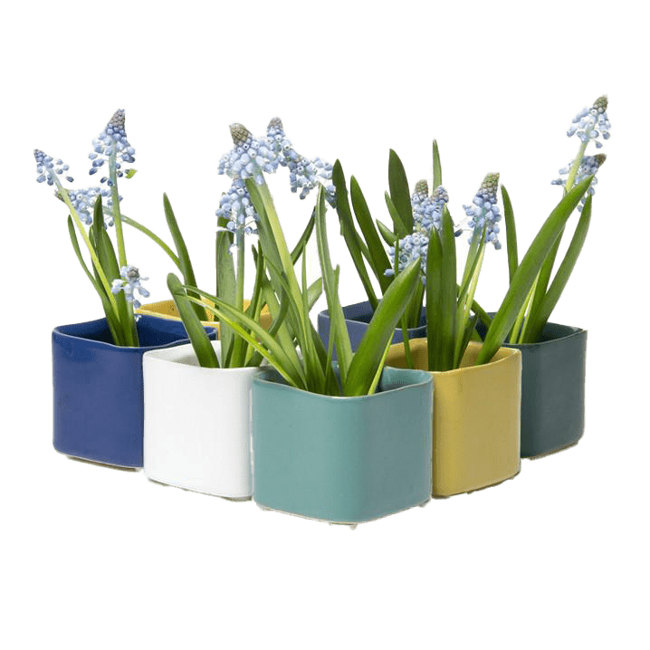 Svek Ceramic Indoor Succulent Pot - Chive Ceramics Studio - Pots - Chive Ceramics Studio