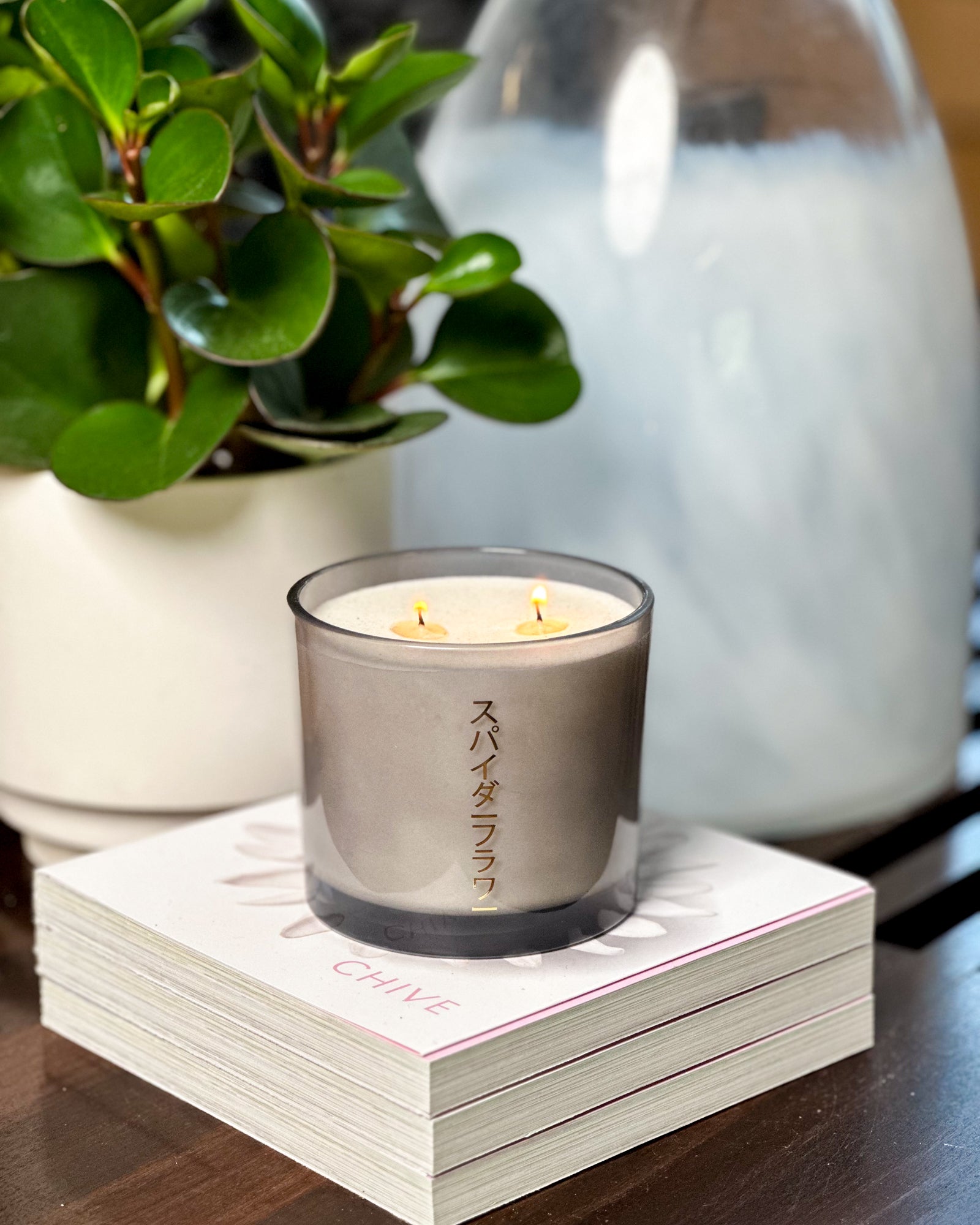 Spiderflower Sustainable Soy Candle | Chive