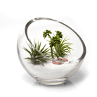 Terrarium Bowl Glass Succulent Garden - Chive Ceramics Studio - Terrariums - Chive US