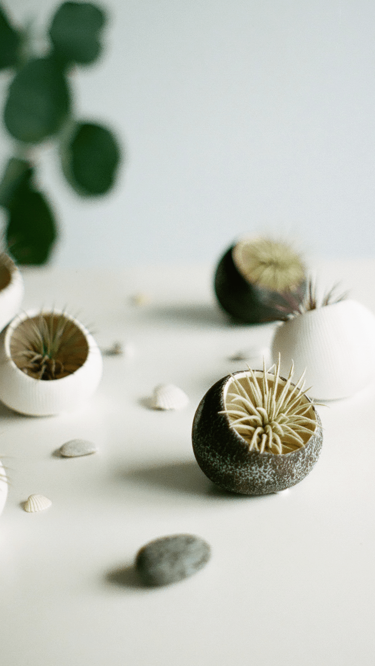 Terrarium Koski Ceramic Air Plant Holder - Chive Ceramics Studio - Terrariums - Chive Ceramics Studio