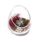 Terrarium Bowl Glass Succulent Garden - Chive Ceramics Studio - Terrariums - Chive US