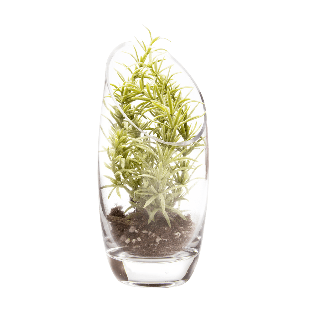 Terrarium Bowl Glass Succulent Garden - Chive Ceramics Studio - Terrariums - Chive US