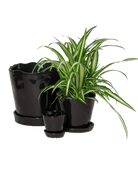 Tika Pot & Saucer | 3 inch - Chive Ceramics Studio - Pots - Chive Ceramics Studio