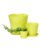 Tika Pot & Saucer | 8 & 10 inch - Chive Ceramics Studio - Pots - Chive Ceramics Studio