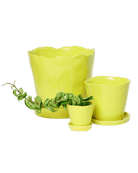 Tika Pot & Saucer | 3 inch - Chive Ceramics Studio - Pots - Chive Ceramics Studio