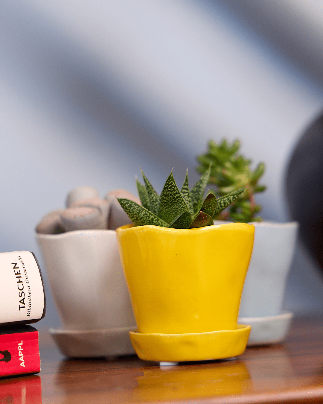 Tika Pot & Saucer | 3 inch - Chive Ceramics Studio - Pots - Chive Ceramics Studio