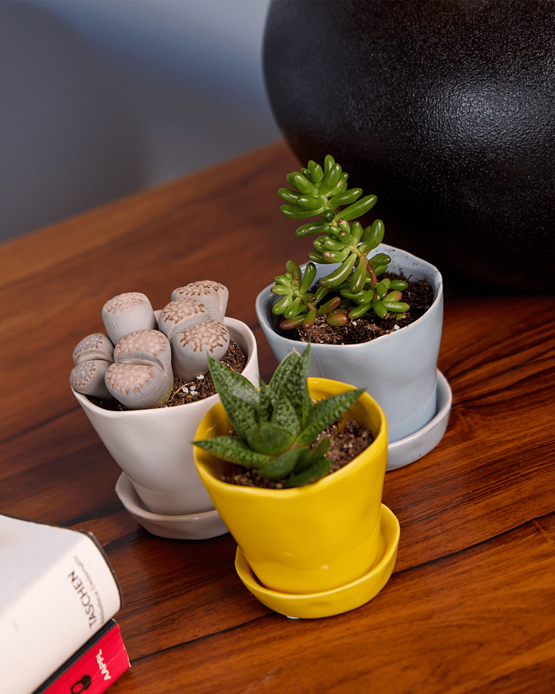 Tika Pot & Saucer | 3 inch - Chive Ceramics Studio - Pots - Chive Ceramics Studio