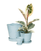 Tika Pot & Saucer | 3 inch - Chive Ceramics Studio - Pots - Chive Ceramics Studio
