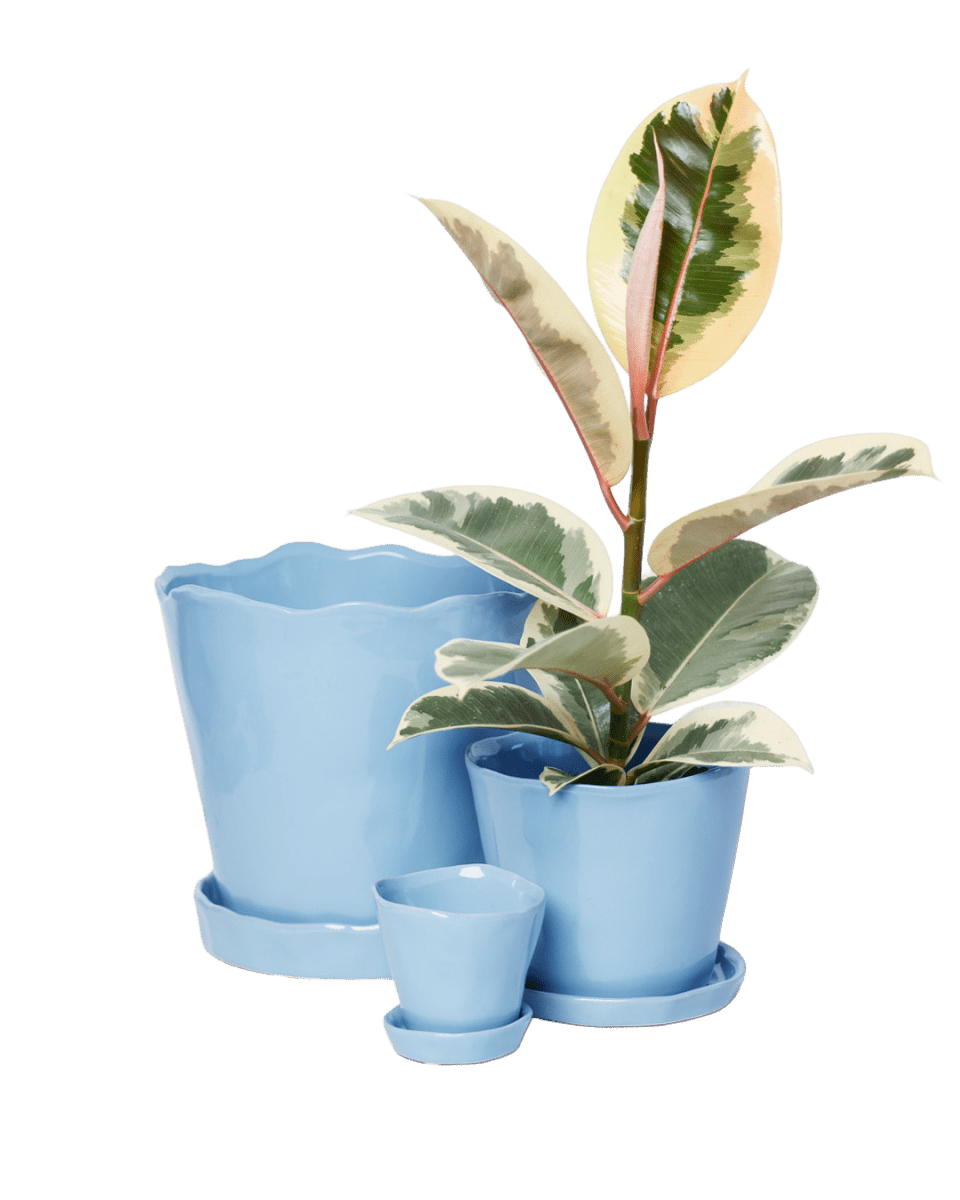 Tika Pot & Saucer | 8 & 10 inch - Chive Ceramics Studio - Pots - Chive Ceramics Studio