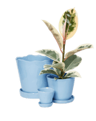 Tika Pot & Saucer | 8 & 10 inch - Chive Ceramics Studio - Pots - Chive Ceramics Studio