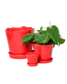 Tika Pot & Saucer | 8 & 10 inch - Chive Ceramics Studio - Pots - Chive Ceramics Studio