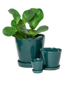 Tika Pot & Saucer | 8 & 10 inch - Chive Ceramics Studio - Pots - Chive Ceramics Studio