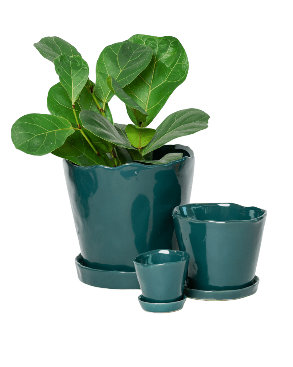 Tika Pot & Saucer | 8 & 10 inch - Chive Ceramics Studio - Pots - Chive Ceramics Studio
