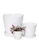 Tika Pot & Saucer | 3 inch - Chive Ceramics Studio - Pots - Chive Ceramics Studio