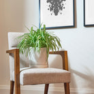 Tika Pot & Saucer | 8 & 10 inch - Chive Ceramics Studio - Pots - Chive Ceramics Studio