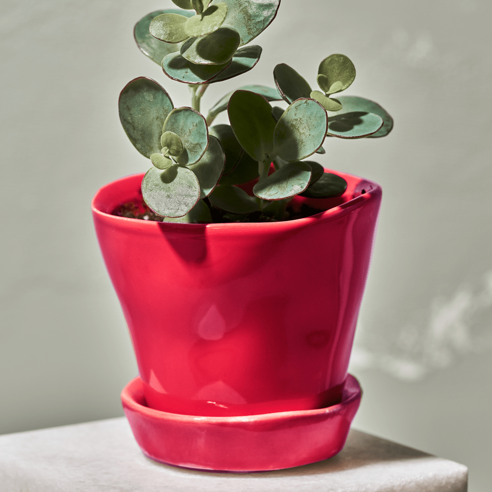 Tika Ceramic Pot & Saucer Set With Drainage - Chive Ceramics Studio - Pots - Chive Ceramics Studio