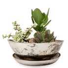 Topper Metal Succulent Dish - Chive Ceramics Studio - Pots - Chive US