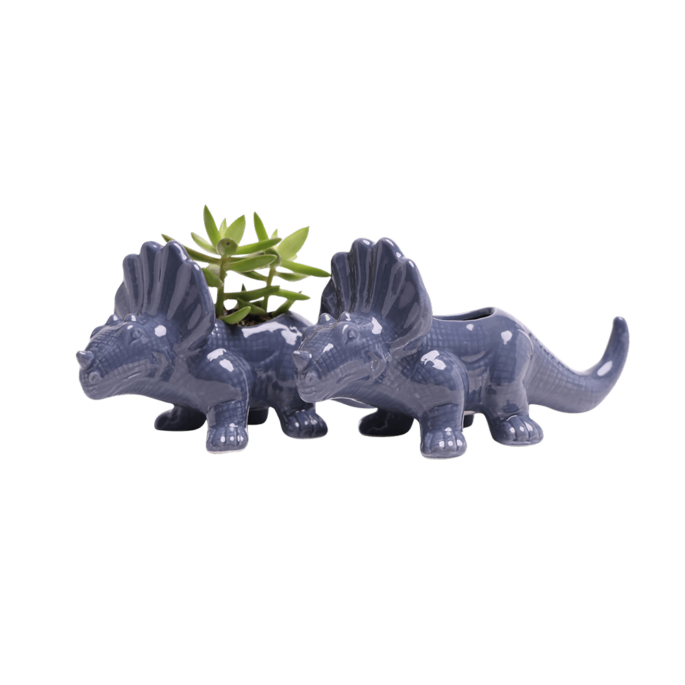Triceratops Ceramic Indoor Plant Pot for Succulents - Chive Ceramics Studio - Pots - Chive Ceramics Studio