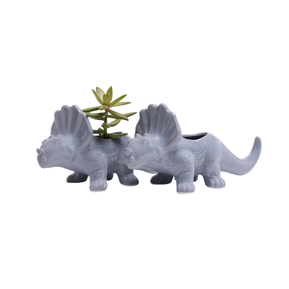 Triceratops Ceramic Indoor Plant Pot for Succulents - Chive Ceramics Studio - Pots - Chive Ceramics Studio