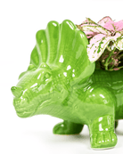 Dinosaur Ceramic Indoor Plant Pot For Succulents - Chive Ceramics Studio - Pots - Chive US