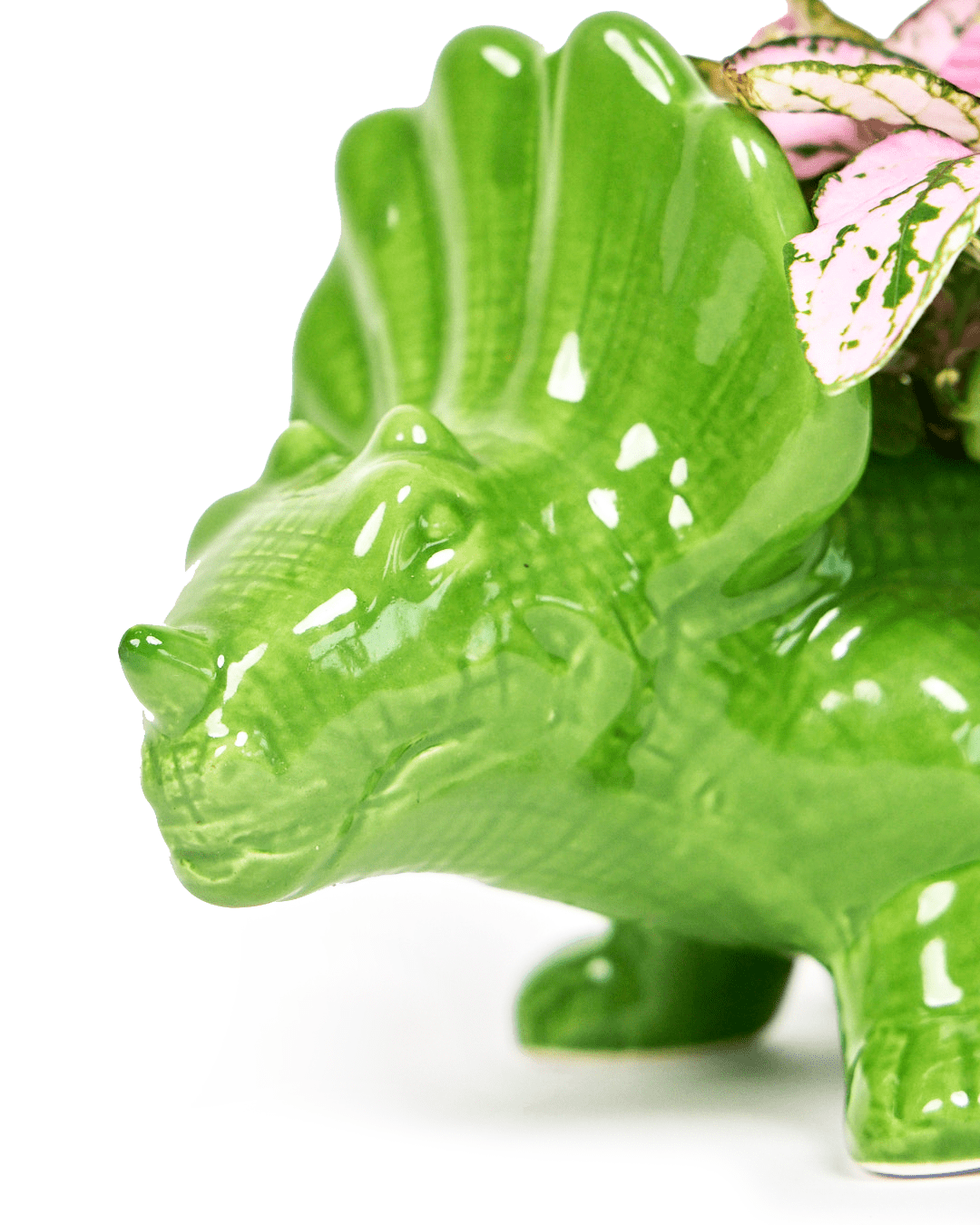 Dinosaur Ceramic Indoor Plant Pot For Succulents - Chive Ceramics Studio - Pots - Chive US