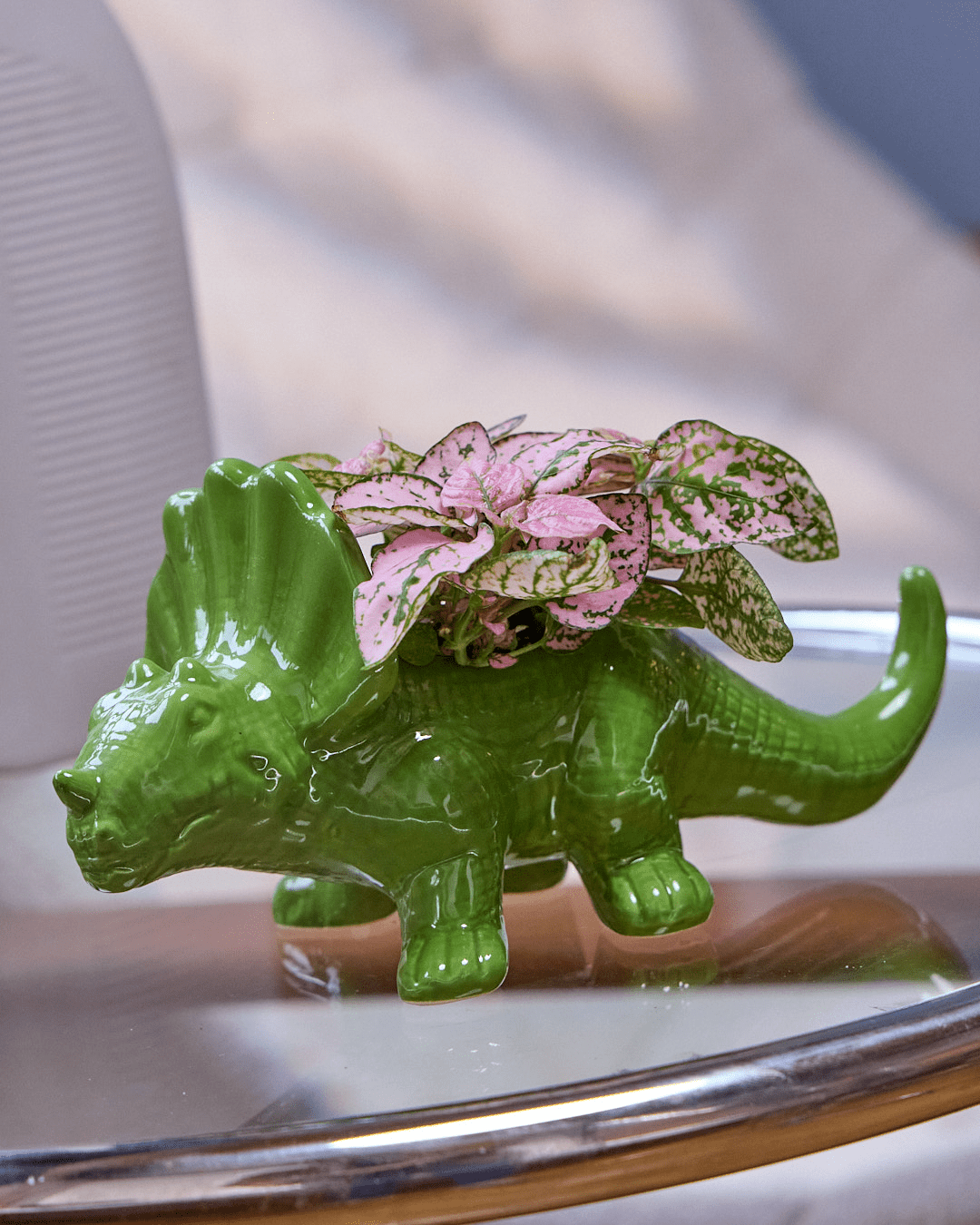 Dinosaur Ceramic Indoor Plant Pot For Succulents - Chive Ceramics Studio - Pots - Chive US