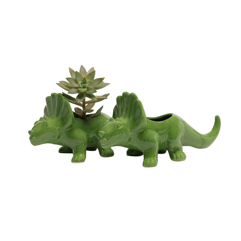 triceratops plant pot Triceratops Ceramic Indoor Plant Pot for Succulents