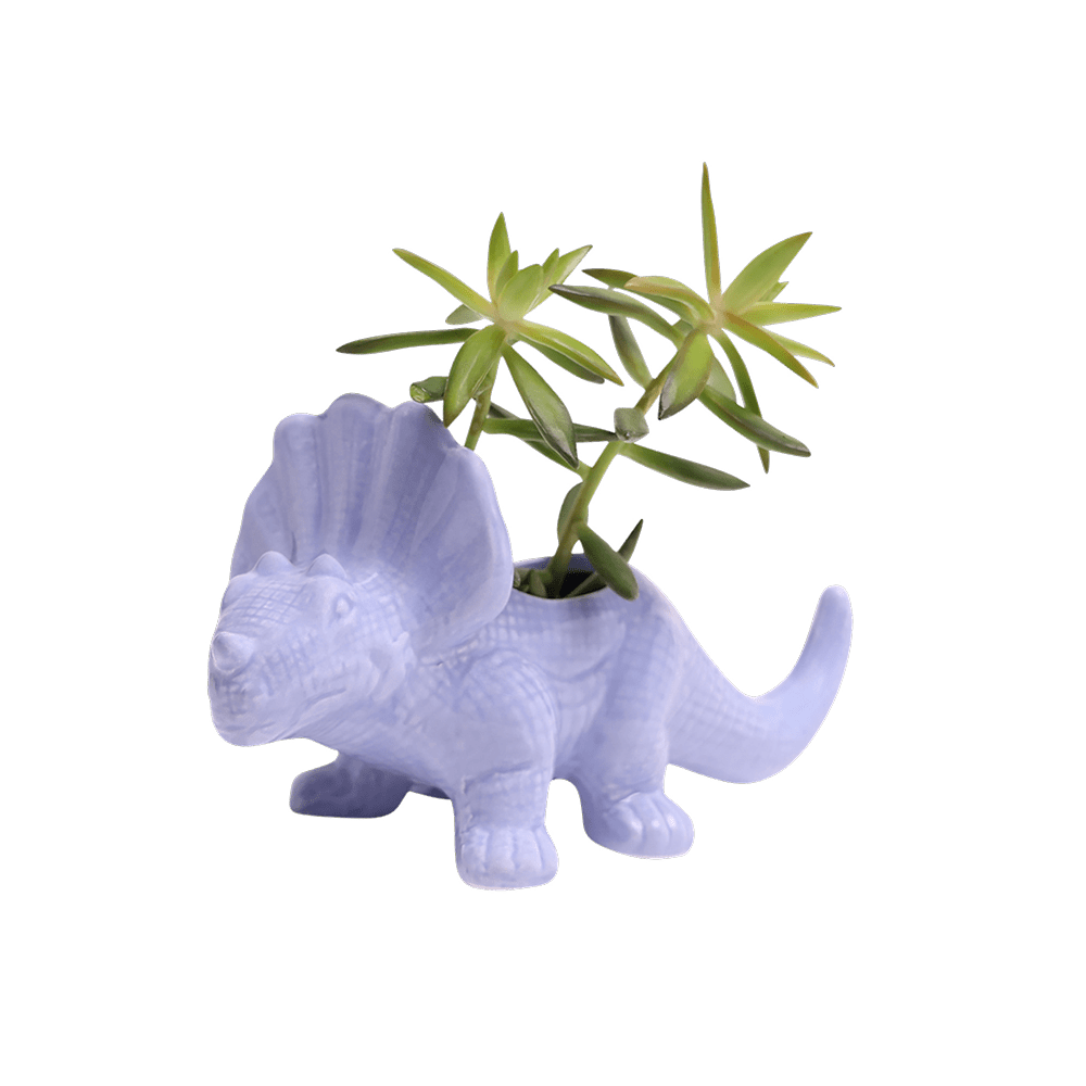 Triceratops Ceramic Indoor Plant Pot for Succulents - Chive Ceramics Studio - Pots - Chive Ceramics Studio