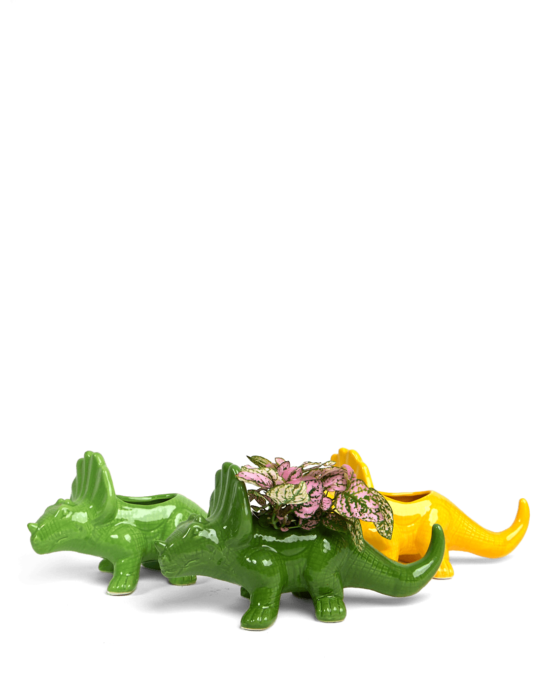 Dinosaur Ceramic Indoor Plant Pot For Succulents - Chive Ceramics Studio - Pots - Chive US