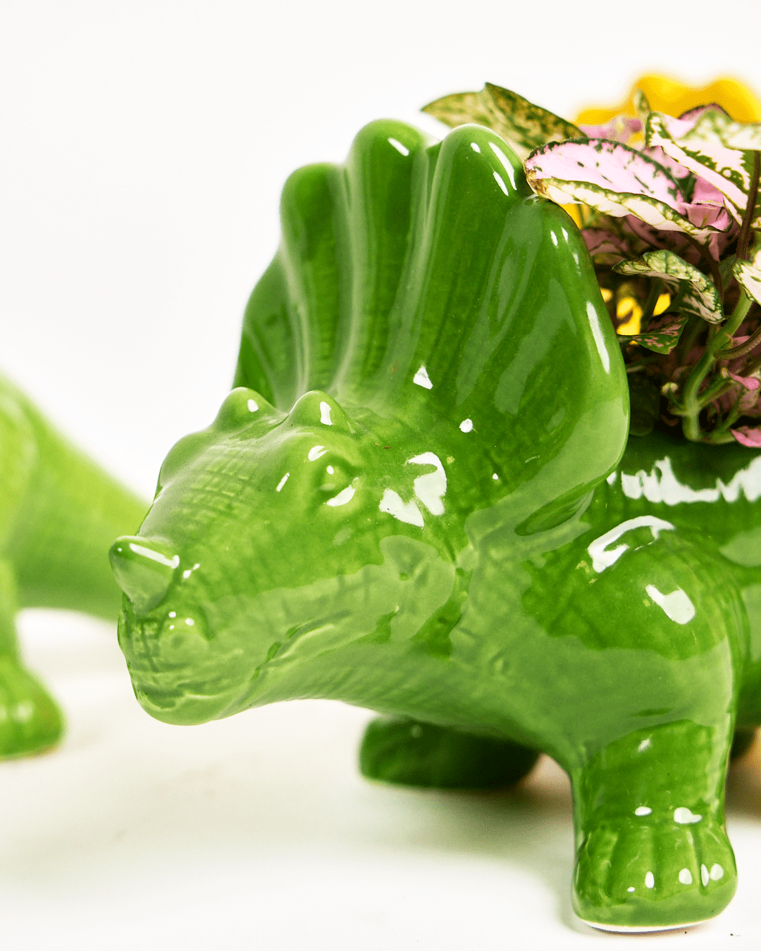 Dinosaur Ceramic Indoor Plant Pot For Succulents - Chive Ceramics Studio - Pots - Chive US