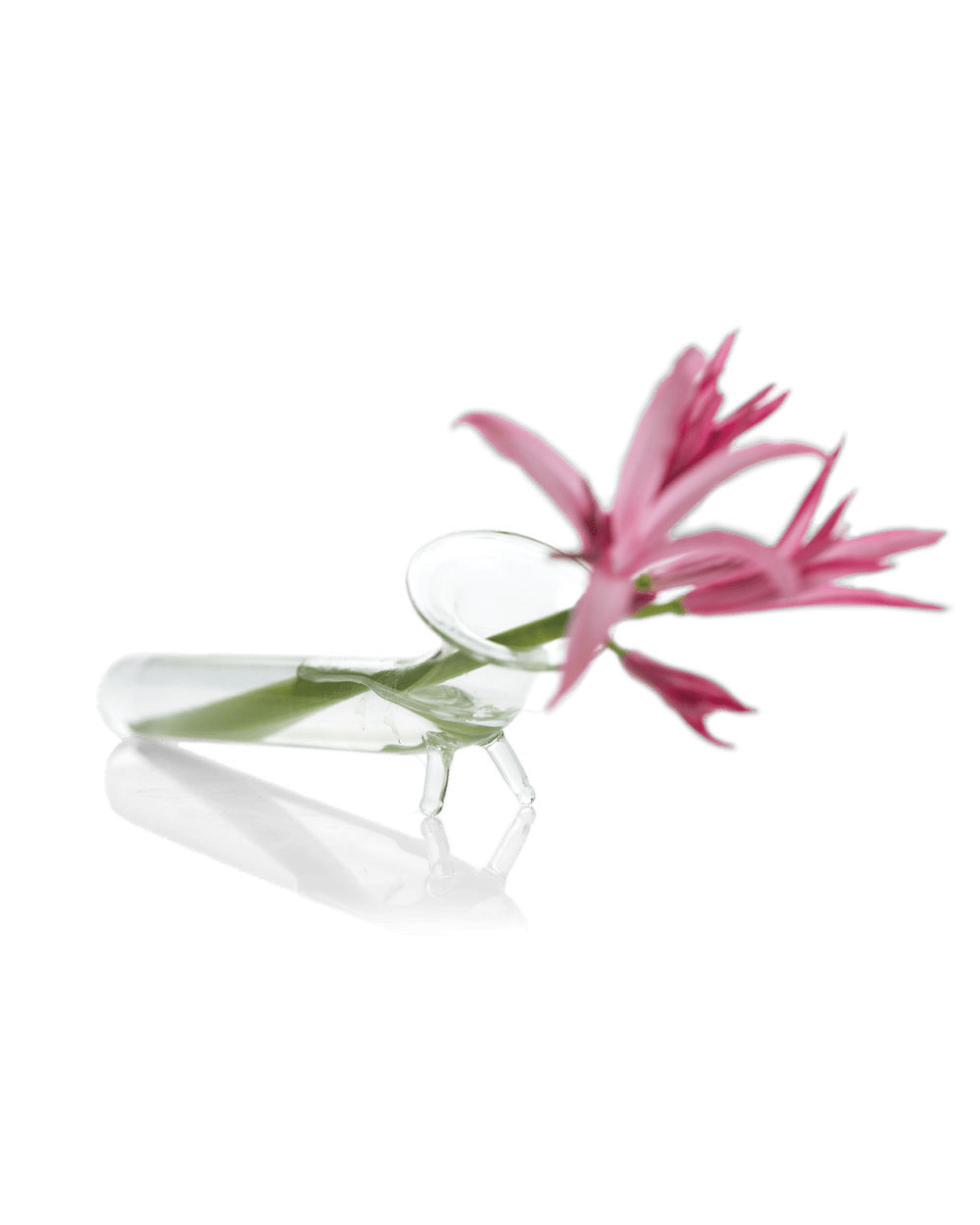 Test Tube Glass Bud Vases - Chive Ceramics Studio - Vases - Chive US