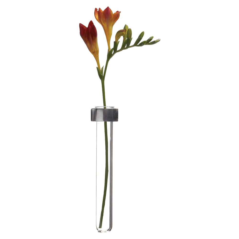 Alu Magnetic Flower Test Tube Holder - Chive Ceramics Studio - Vases - Chive US