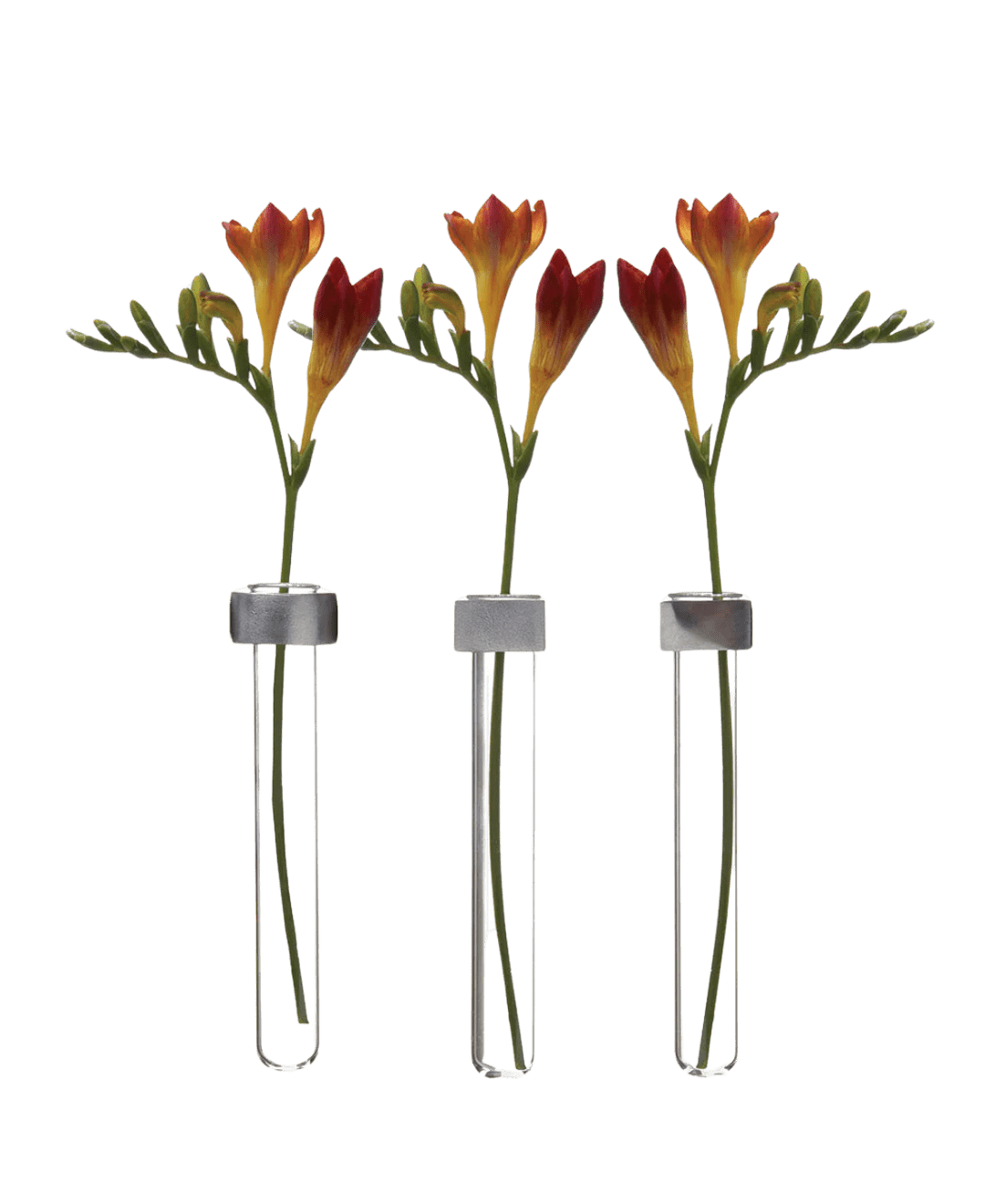 Alu Magnetic Flower Test Tube Holder - Chive Ceramics Studio - Vases - Chive US