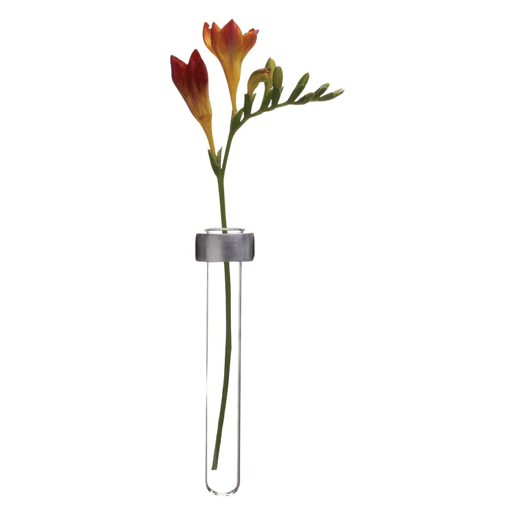 Alu Magnetic Flower Test Tube Holder - Chive Ceramics Studio - Vases - Chive US