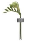 Alu Magnetic Flower Test Tube Holder - Chive Ceramics Studio - Vases - Chive US