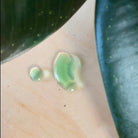 Verte Rx Houseplant Food 10 - 15 - 10 - Chive Ceramics Studio - Chive Ceramics Studio