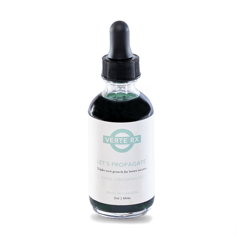 Verte Rx Plant Vitamins Supplements - Chive Ceramics Studio - Plant Supplements - Chive Ceramics Studio