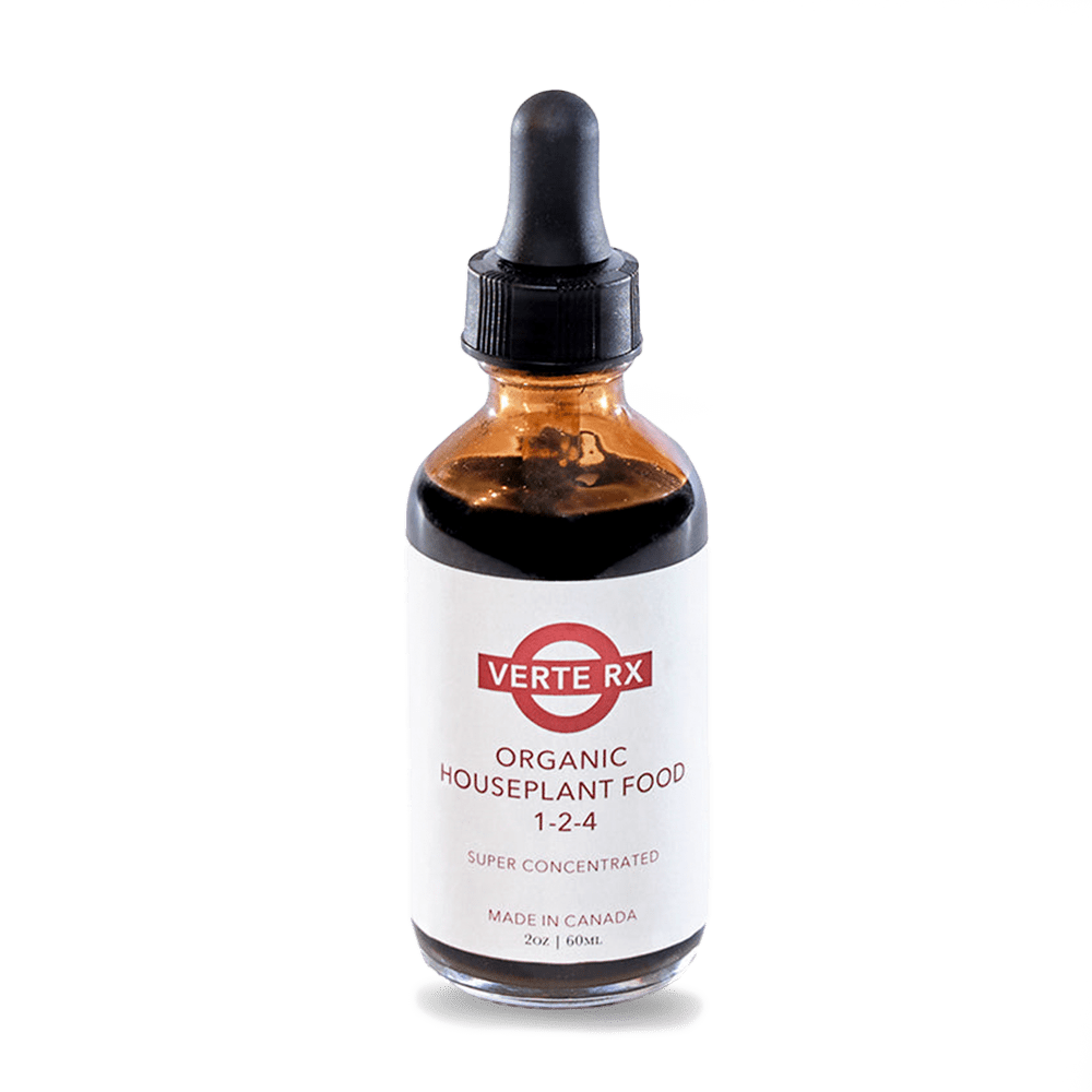 Verte Rx Plant Vitamins Supplements - Chive Ceramics Studio - Plant Supplements - Chive Ceramics Studio