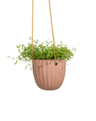 Virago Ceramic Modern Hanging Planter - Chive Ceramics Studio - Pots - Chive US