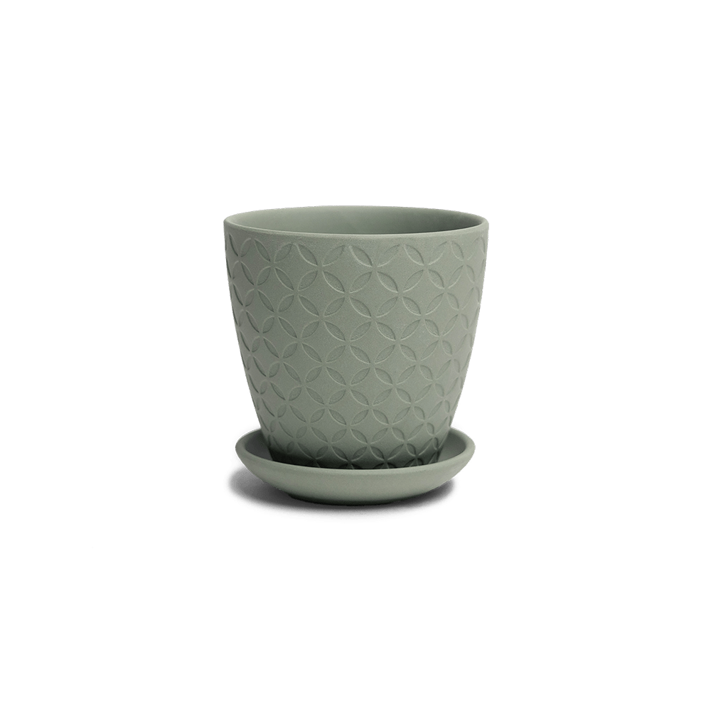 Virago 3.5" Porcelain Pot With Drainage Hole And Saucer - Chive Ceramics Studio - Pots - Chive Ceramics Studio