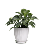 Virago Porcelain Large Indoor Pot With Drainage Hole And Saucer - Chive Ceramics Studio - Pots - Chive US