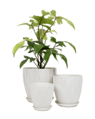 Virago Porcelain Large Indoor Pot With Drainage Hole And Saucer - Chive Ceramics Studio - Pots - Chive US