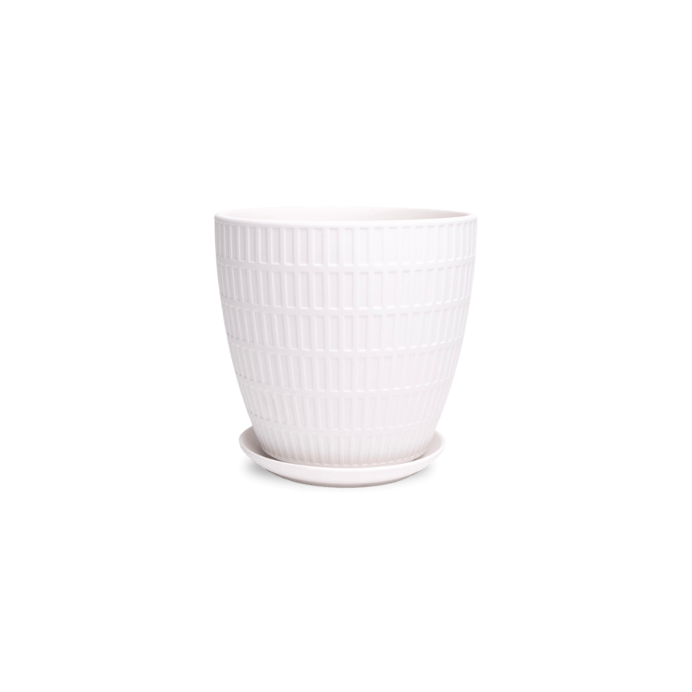 Virago Porcelain Large Indoor Pot With Drainage Hole And Saucer - Chive Ceramics Studio - Pots - Chive US