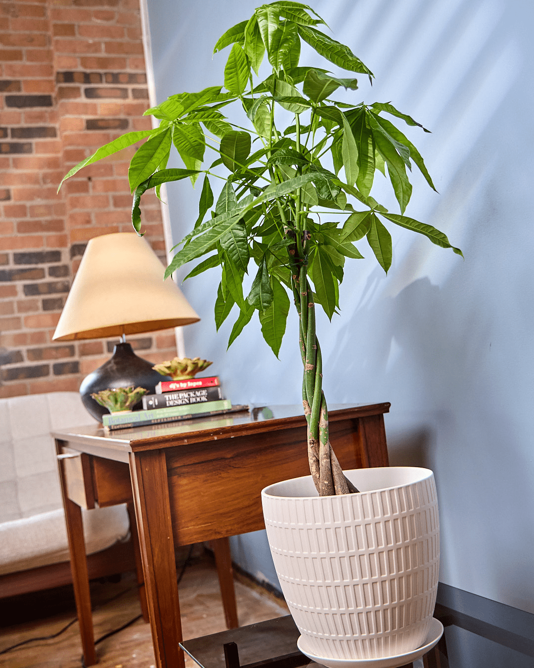 Virago Porcelain Large Indoor Pot With Drainage Hole And Saucer - Chive Ceramics Studio - Pots - Chive US