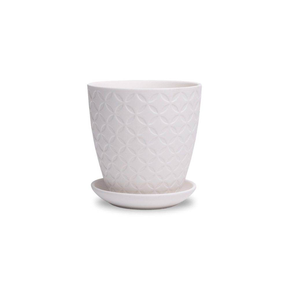 Virago 3.5" Porcelain Pot With Drainage Hole And Saucer - Chive Ceramics Studio - Pots - Chive Ceramics Studio